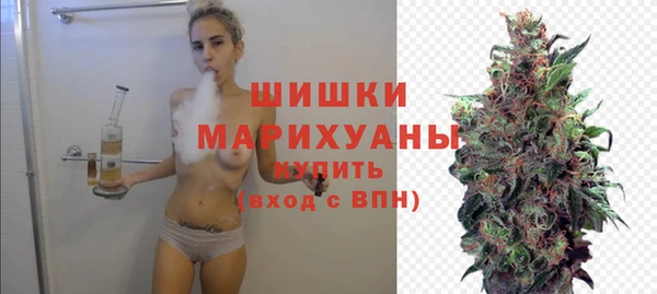 крисы Богородск
