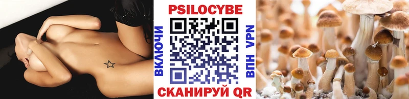 Купить Курчатов Галлюциногенные грибы Cubensis